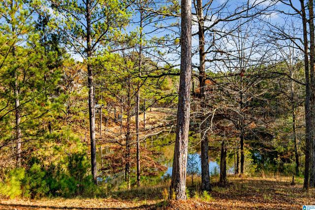 1035 TARA DRIVE, Chelsea, AL 35051