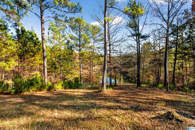 1035 TARA DRIVE, Chelsea, AL 35051