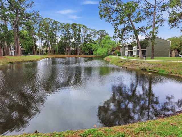 6060 PEREGRINE AVENUE 17E, Orlando, FL 32819