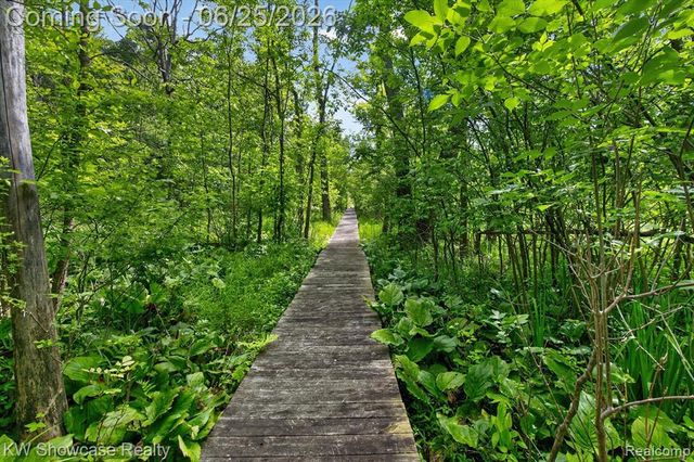 11073 Sandy Creek Drive, South Lyon, MI 48178
