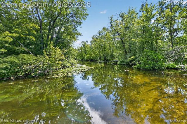 11073 Sandy Creek Drive, South Lyon, MI 48178