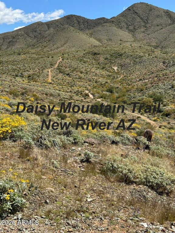 Image 44 of property listing at 43422 N HUDSON Trail, New River, AZ 85087