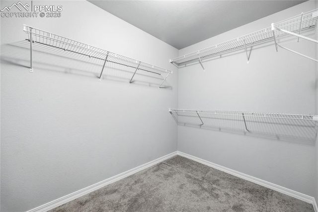 7668 Benecia Drive, Fountain, CO 80817