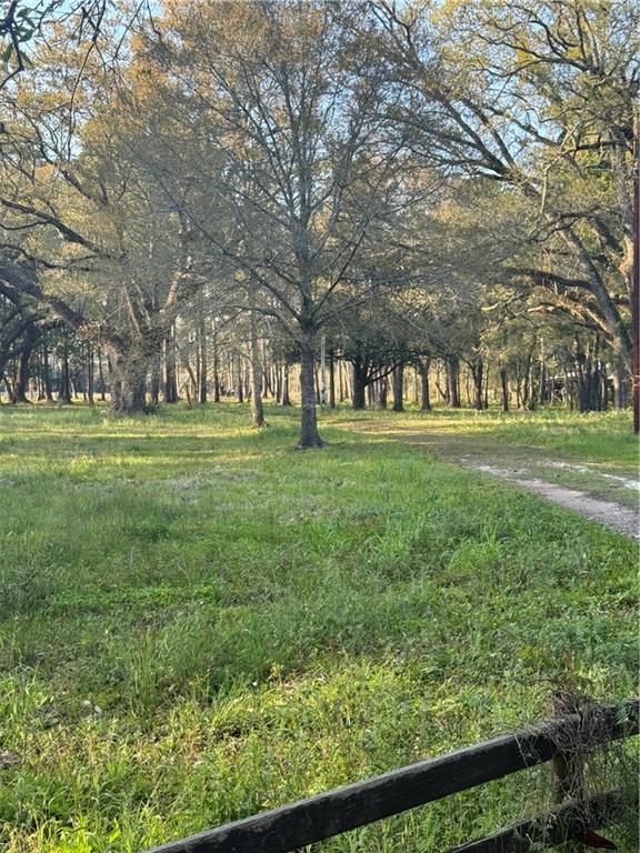 9170 Little River Road, Bayou La Batre, AL 36509 — photo 2