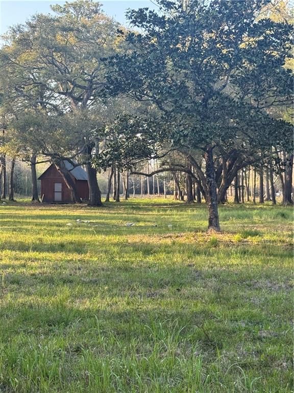 9170 Little River Road, Bayou La Batre, AL 36509 — photo 4
