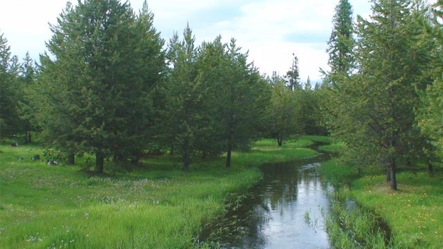 360 Discovery Loop, Marion, MT 59925