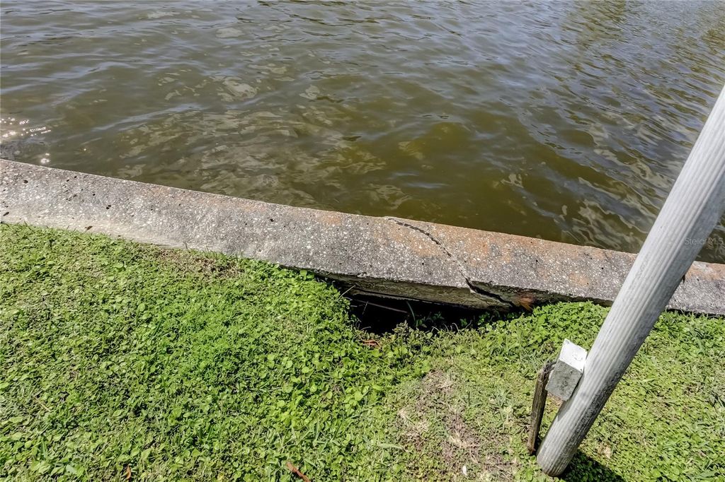 Image 22 of property listing at 8586 FORSYTH DRIVE, Seminole, FL 33772