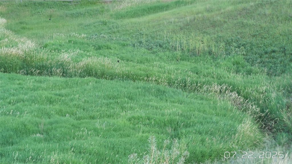 8377 US Hwy 89, Great Falls, MT 59405 photo 60