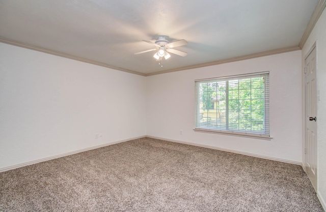 14507 Louetta Road, Cypress, TX 77429