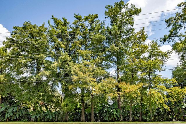 1231 Bayou Black Dr, Houma, LA 70360