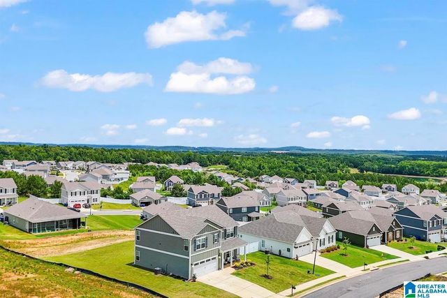 3001 SPECKLEBELLY WAY, Alabaster, AL 35007