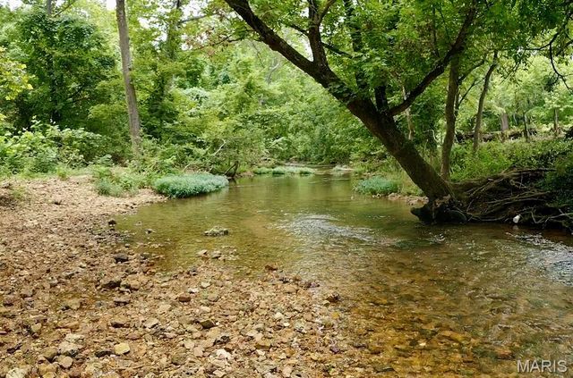 10288 Jackal Road, Potosi, MO 63664
