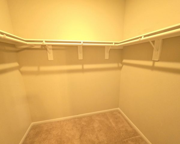 2429 Abbot Brook Drive, Rosharon, TX 77583