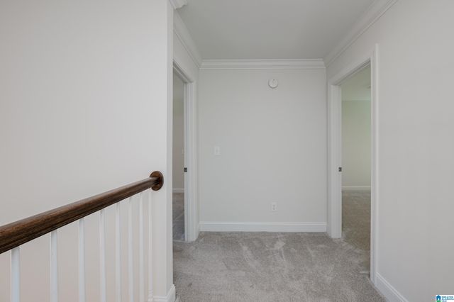 138 OVERVIEW DRIVE, Sterrett, AL 35147