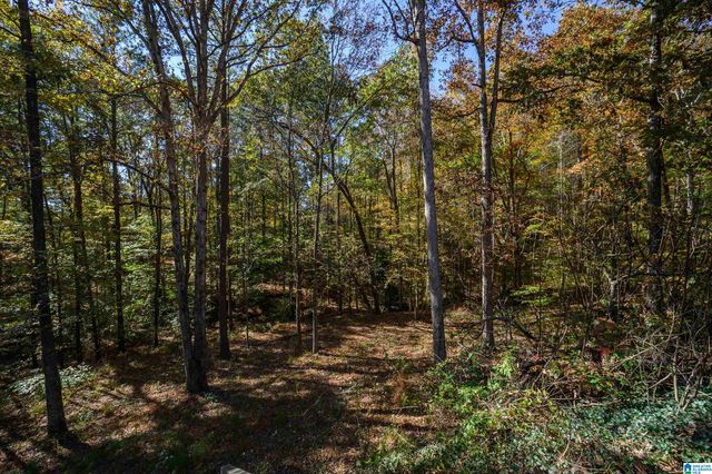 138 OVERVIEW DRIVE, Sterrett, AL 35147