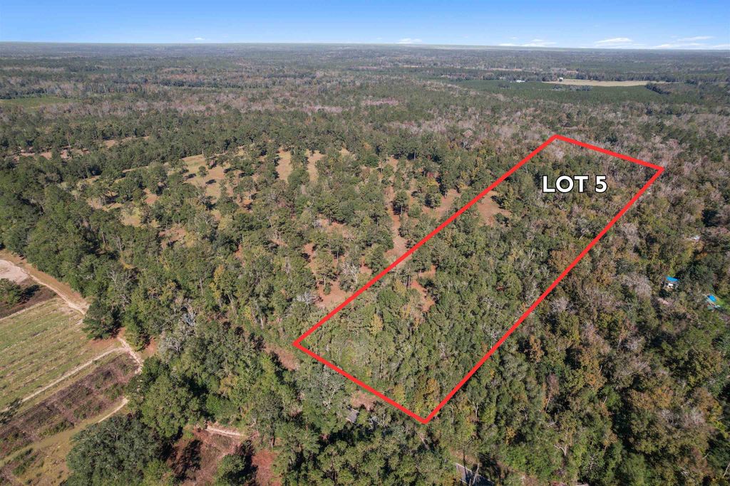Lot 5 Watermill Road, Monticello, FL 32344