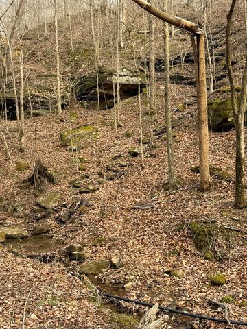665 665 Craft Crk, Salyersville, KY 41465