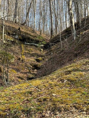 665 665 Craft Crk, Salyersville, KY 41465
