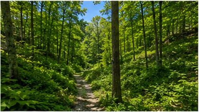 665 665 Craft Crk, Salyersville, KY 41465