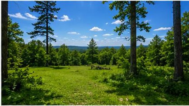 665 665 Craft Crk, Salyersville, KY 41465