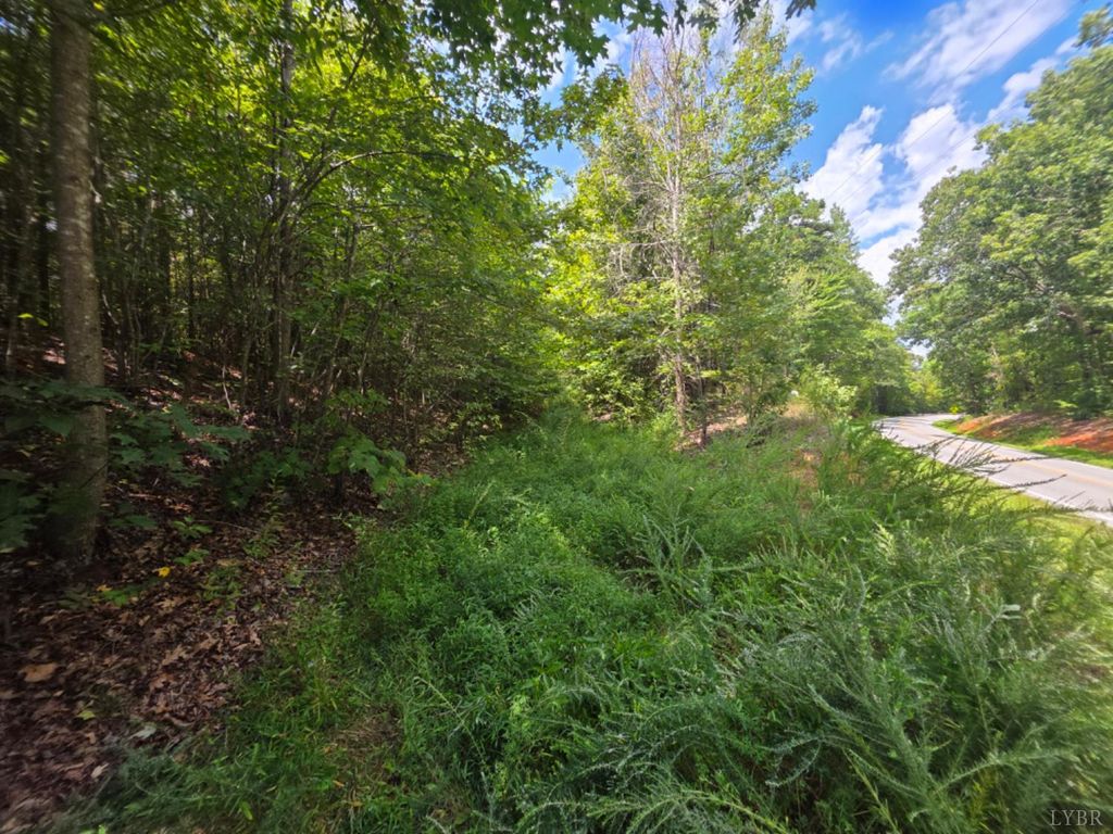 Image 1 of property listing at 0 Craftons Gate Highway, Drakes Branch, VA 23937