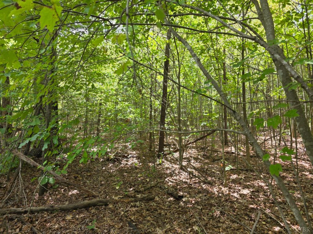 Image 2 of property listing at 0 Craftons Gate Highway, Drakes Branch, VA 23937