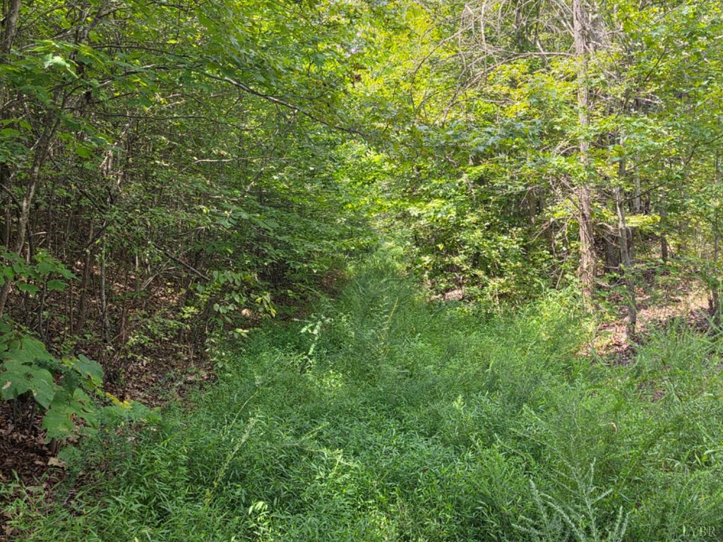 Image 3 of property listing at 0 Craftons Gate Highway, Drakes Branch, VA 23937