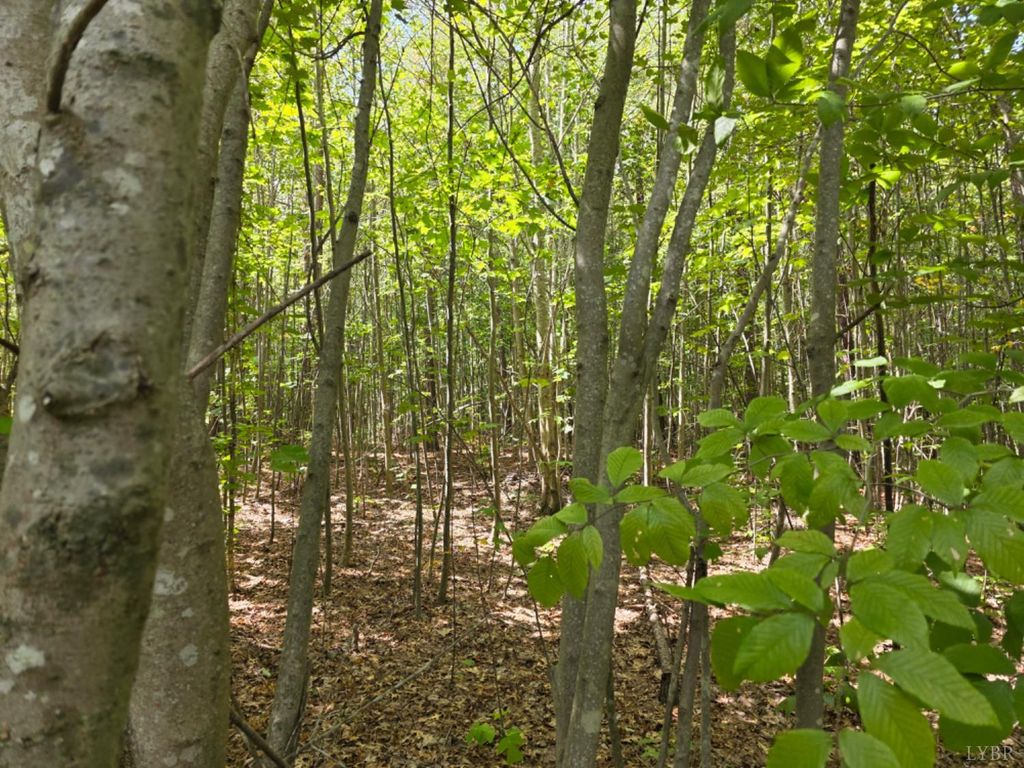 Image 4 of property listing at 0 Craftons Gate Highway, Drakes Branch, VA 23937