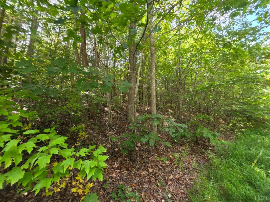 Image 5 of property listing at 0 Craftons Gate Highway, Drakes Branch, VA 23937