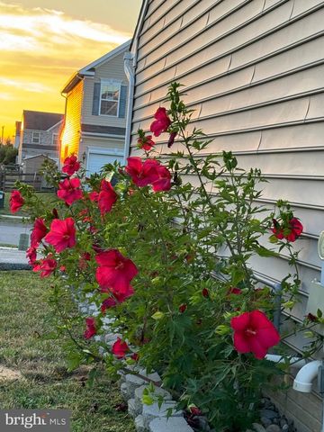 83 ZELKOVA RD, Smyrna, DE 19977
