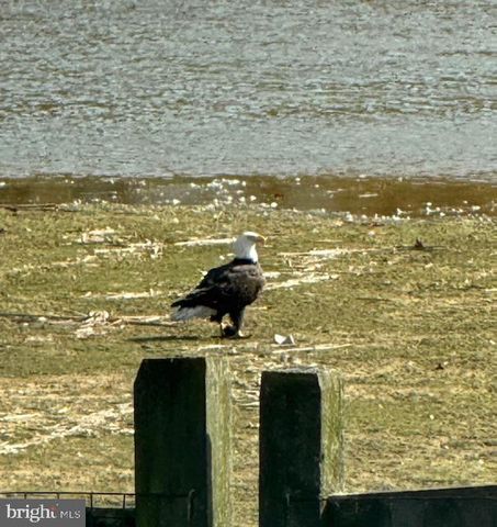 83 ZELKOVA RD, Smyrna, DE 19977