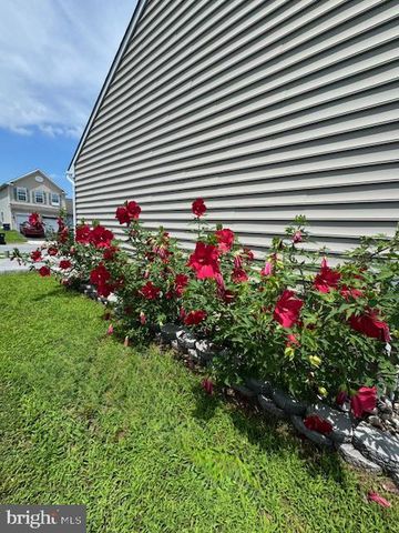 83 ZELKOVA RD, Smyrna, DE 19977