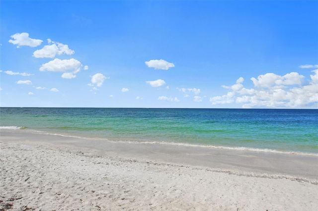 1346 THORNAPPLE DRIVE, Osprey, FL 34229