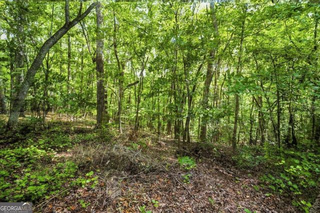 195 Hillside Drive, Dallas, GA 30157