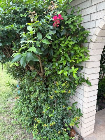 1515 N Ridgemont Lane, Kerrville, TX 78028