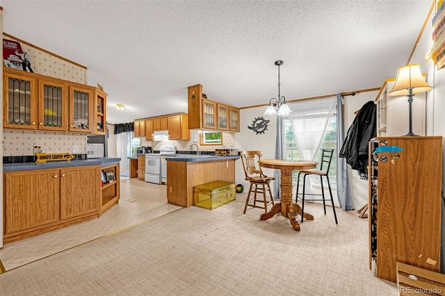 213 S 1st Street, Victor, CO 80860
