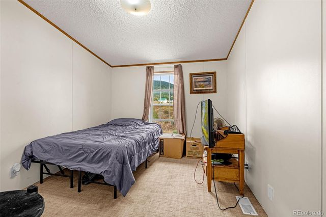 213 S 1st Street, Victor, CO 80860
