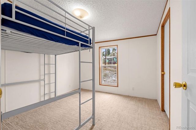 213 S 1st Street, Victor, CO 80860