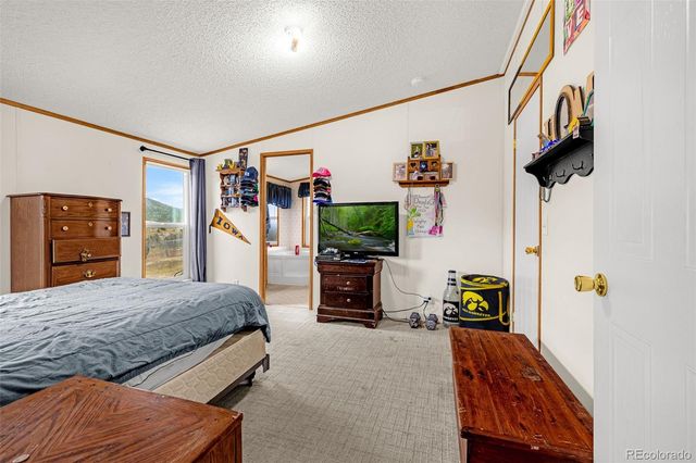 213 S 1st Street, Victor, CO 80860