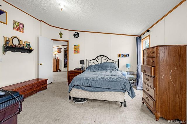 213 S 1st Street, Victor, CO 80860