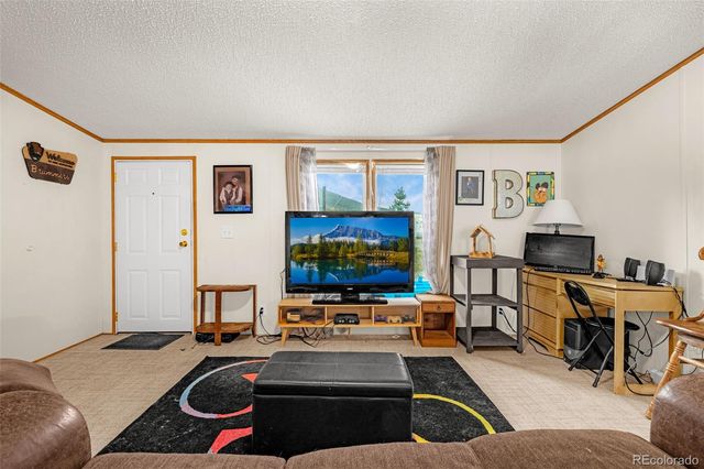 213 S 1st Street, Victor, CO 80860