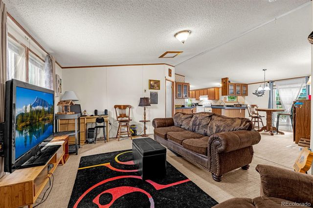 213 S 1st Street, Victor, CO 80860