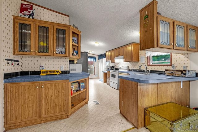 213 S 1st Street, Victor, CO 80860