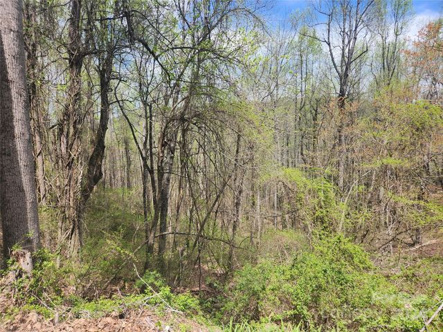 174 Mount Hebron Road 36, Hendersonville, NC 28739