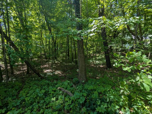 6795 Northstar Avenue, Kalamazoo, MI 49009
