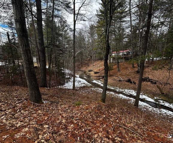 47 W River Road, Gladwin, MI 48624