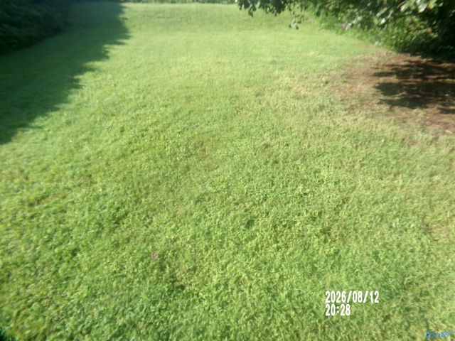 3103 Avalon Lake Drive, Madison, AL 35756