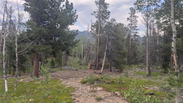 Lot 29 Lodge Pole Drive, Black Hawk, CO 80422