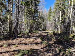 3375 Purnell Lane, Fort Garland, CO 81133