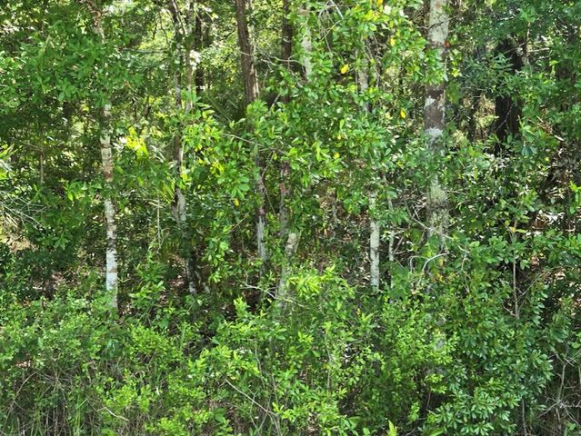 1925 CR-13, Bunnell, FL 32110